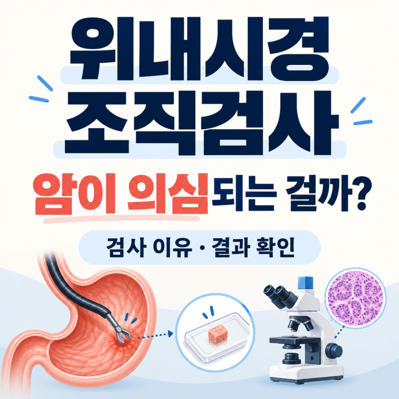 위내시경 중 조직검사까지 했다면? 암 가능성과 결과지에서 확인할 내용