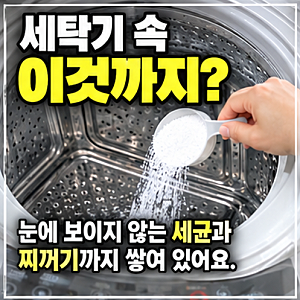 세탁기 통세척 방법, 통돌이·드럼 따로 해야 하는 이유와 과탄산소다 주기