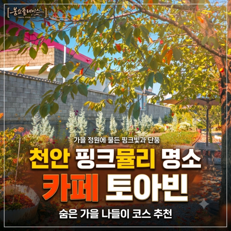 10월 가볼만한 곳 천안 핑크뮬리 숨은 명소, 입장 카페 토아빈의 고즈넉한 가을 나들이
