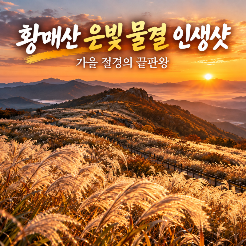 합천 황매산 억새 축제 은빛 억새 평원 인생샷 가이드