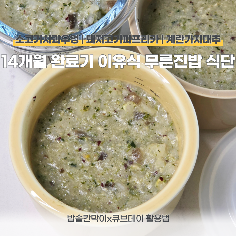 14개월 완료기 이유식 식단 | 밥솥 칸막이 무른 진밥 레시피(소고기 사과배추우엉, 돼지고기 ....