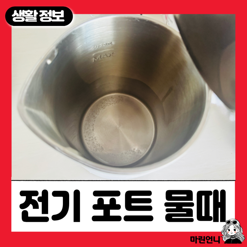 전기포트 세척 방법 물때 제거부터 외부 청소까지