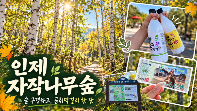 인제 자작나무숲 여행, 주차 상품권으로 막걸리 사고 펜션으로