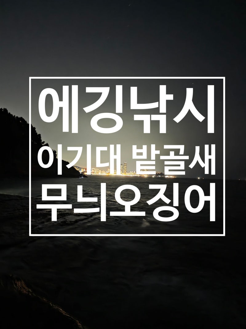 부산 이기대 밭골새 포인트 무늬오징어 에깅 낚시