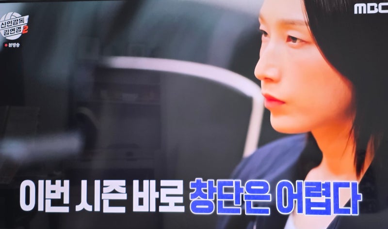 프로팀 창단 불가? 신인감독 김연경 원더독스 시즌2 멤버 인스타, 8구단 여부