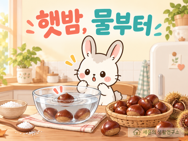햇밤 보관, 지퍼백 사기 전 소금물부터