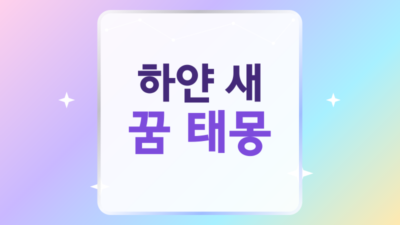 하얀 새 꿈 태몽, 날아오고 품에 안긴 장면별 풀이