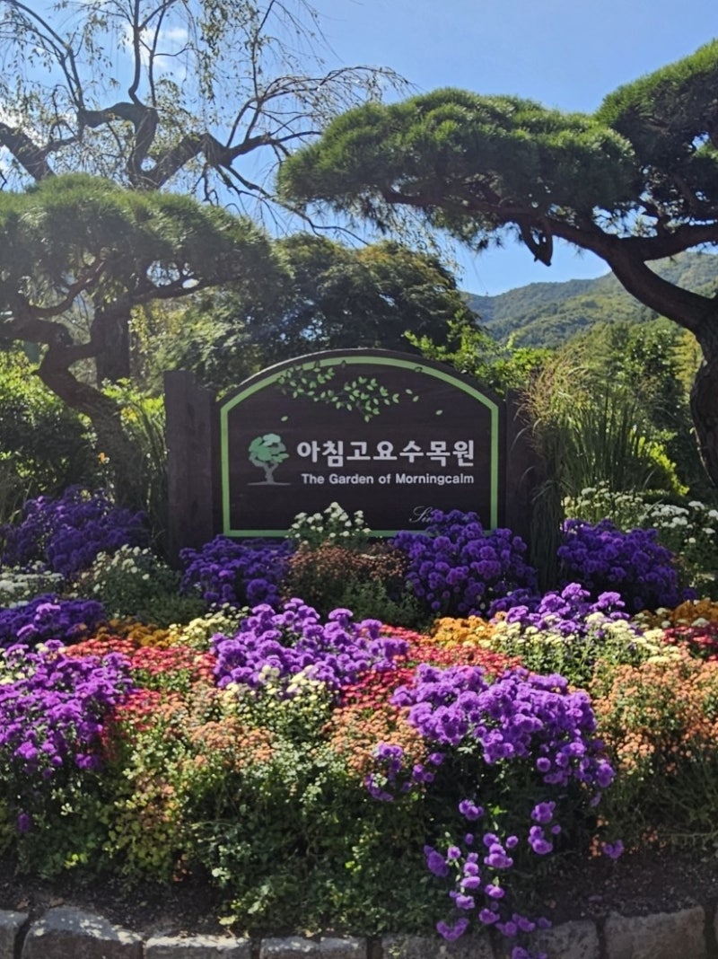 가평 아침고요수목원 10월 들국화전시회 세화연 포토존