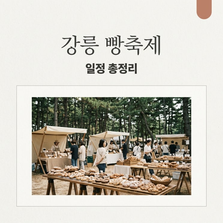 강릉 빵축제 2026 일정 및 프로그램 기본 정보 총정리