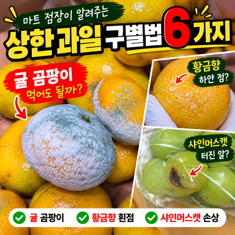 귤 곰팡이 발견했다면? 마트 점장이 알려주는 상한 과일 구별법 6가지