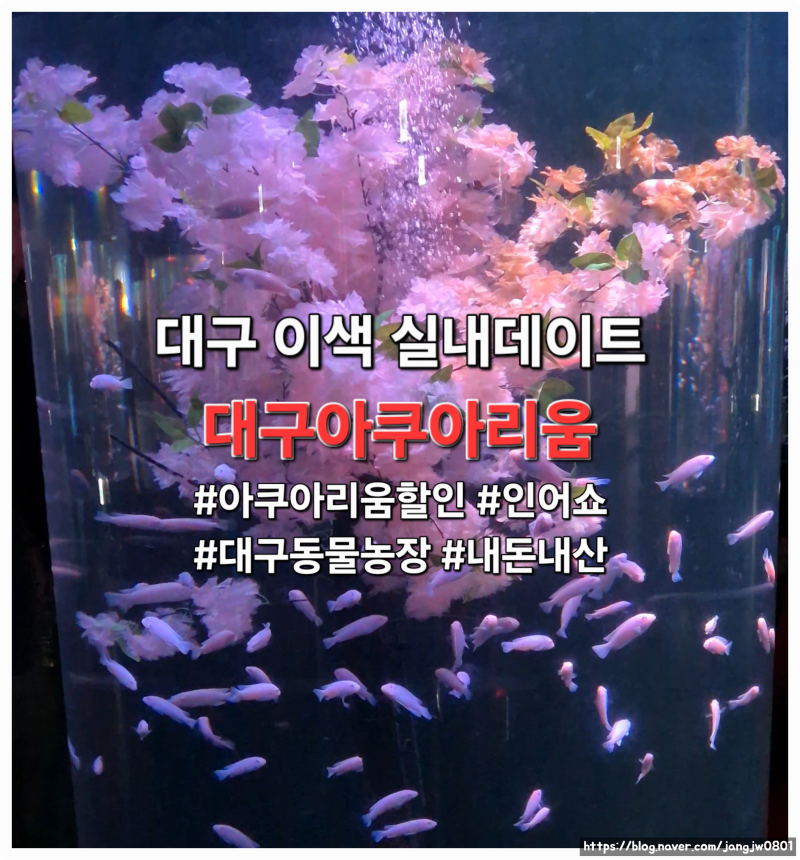대구 이색 실내데이트, 대구아쿠아리움ㅣ신세계아쿠아리움, 아쿠아리움할인, 인어쇼, 동물....