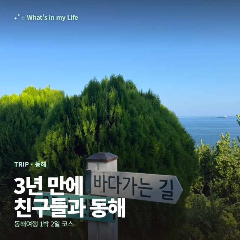 동해여행 1박 2일 코스 추천 | 3년만에 친구들이랑 함께 여행 하루종일 먹기만 하고 옴