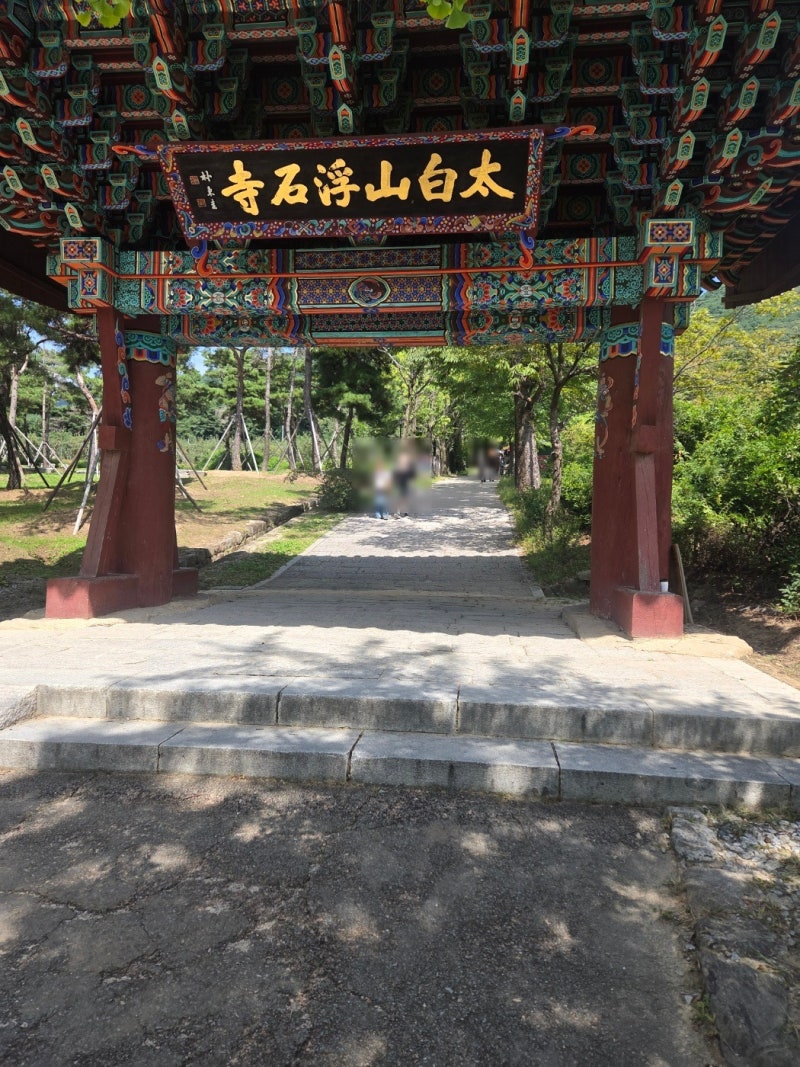 대구 근교 아이랑 가볼만한곳 영주 부석사, 무량수전과 겹겹 산 능선 풍경