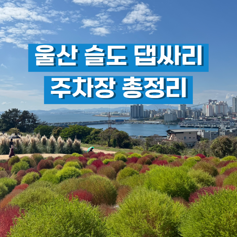 울산 슬도 댑싸리 어디에 주차할까? 찾아가는 길과 포토스팟 추천