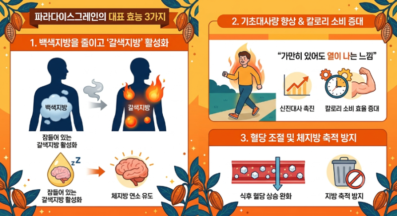 '파라다이스그레인' 효능, 올바른 복용법부터 주의사항