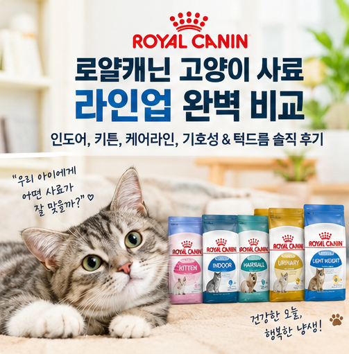 로얄캐닌 고양이 사료 라인업 완벽 비교: 인도어, 키튼, 케어라인, 기호성 & 턱드름 솔직 후기