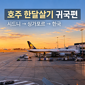 호주 한달살기 귀국편ㅣ싱가포르 경유·시드니공항 PP카드·창이공항 라운지