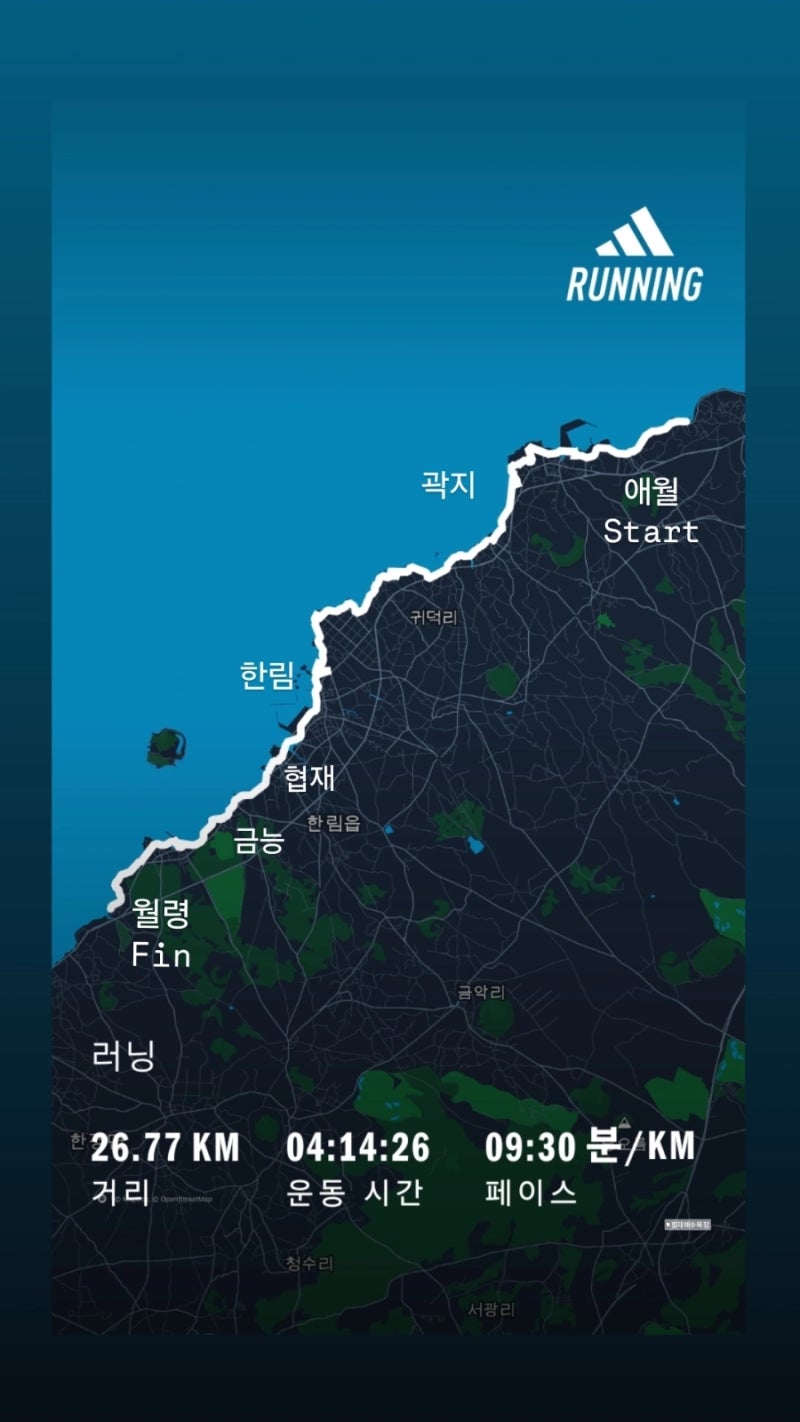 [제주] 서부 러닝 일기