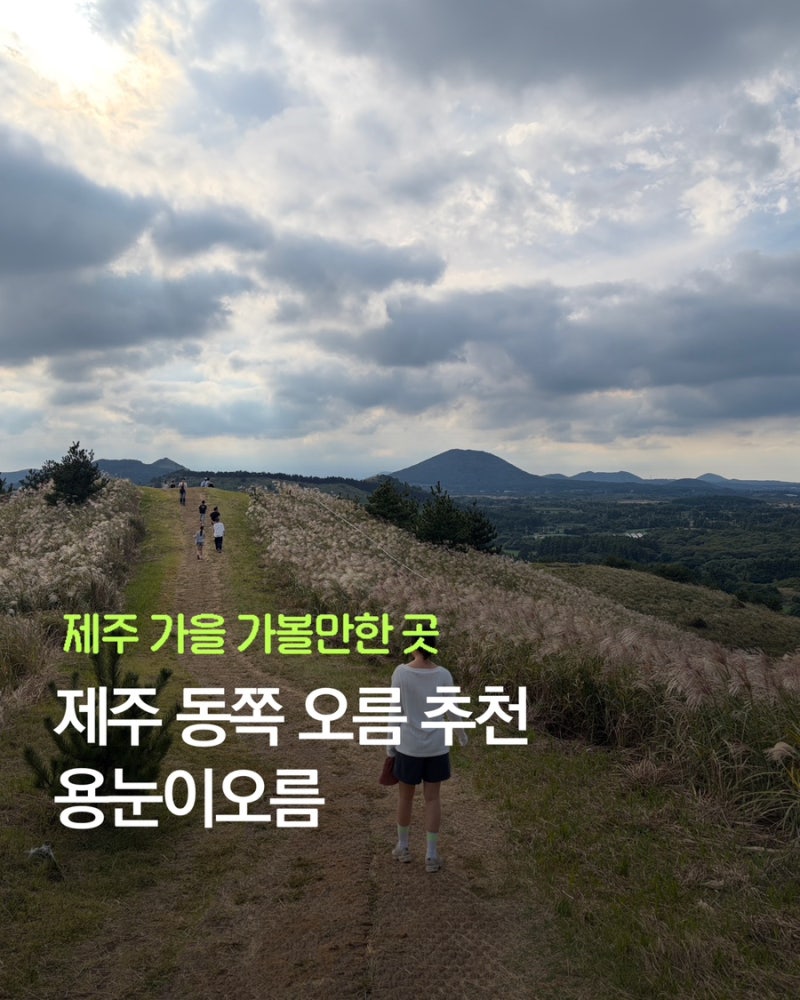 제주 동쪽 오름 가을 가볼만한 곳 용눈이오름 (난이도 하, 소요시간 1시간)