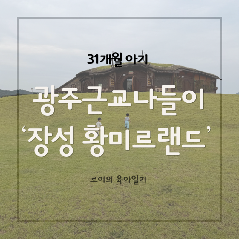 [장성 아이와 가볼 만한 곳] 장성 황미르랜드 방문후기