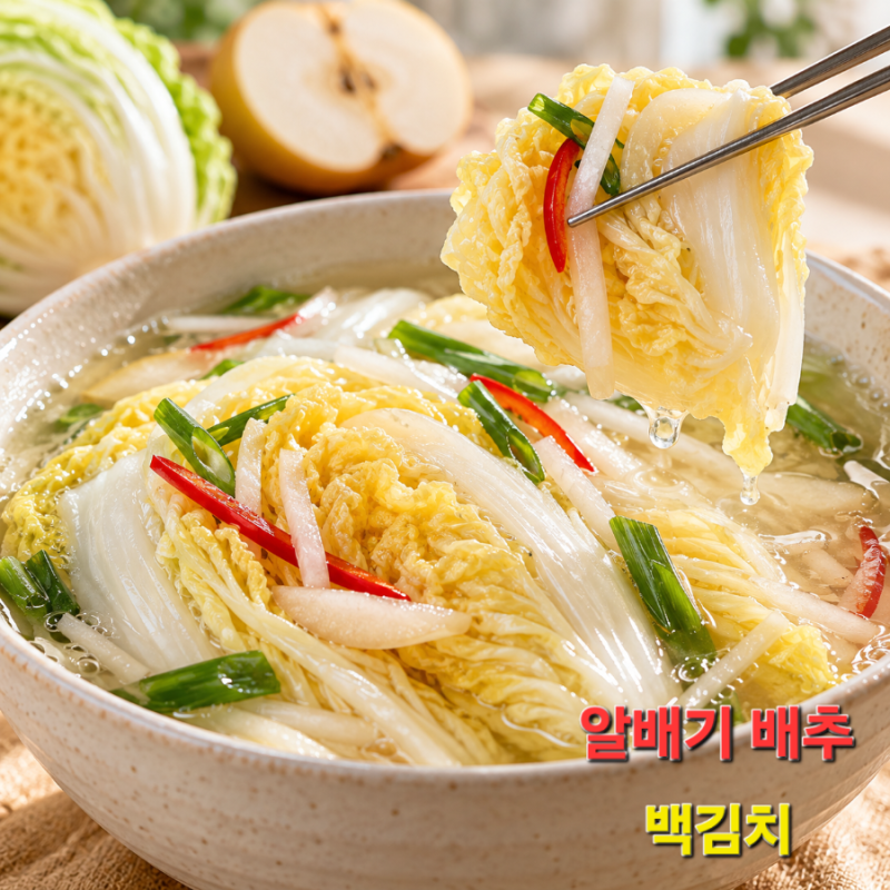 익을수록 맛있는 알배기 배추 백김치 숙성 기간 및 보관법 꿀팁