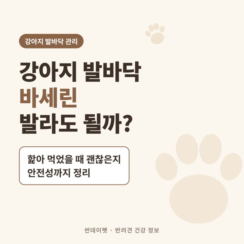 강아지 발바닥 바세린 발라도 될까? 핥았을 때 괜찮은지까지 정리