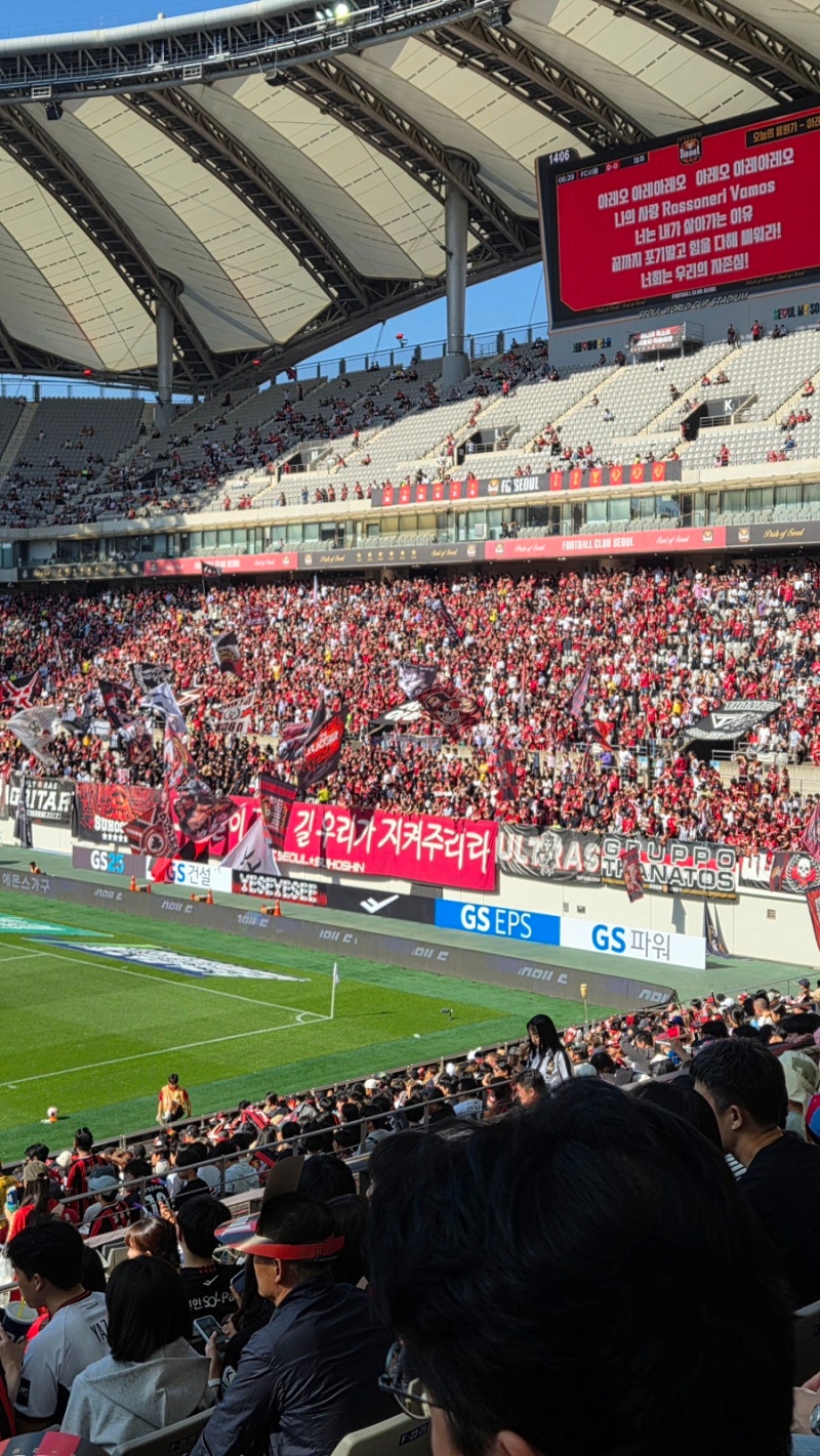 서울월드컵경기장 축구 직관후기 FC서울 vs 제주 SK FC E석 동측 F구열 시야