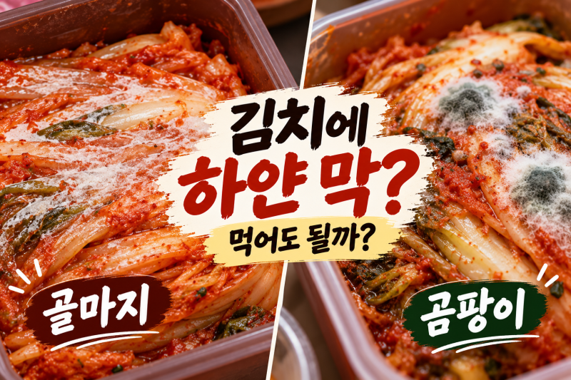 김치에 하얀 막이 생겼다면 곰팡이일까 골마지일까? 먹어도 되는 김치와 버려야 하는 김치 ....