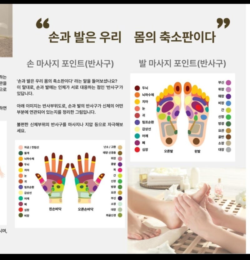 발 지압 혈자리 완전 정리｜발바닥 반사구부터 셀프 마사지 방법까지