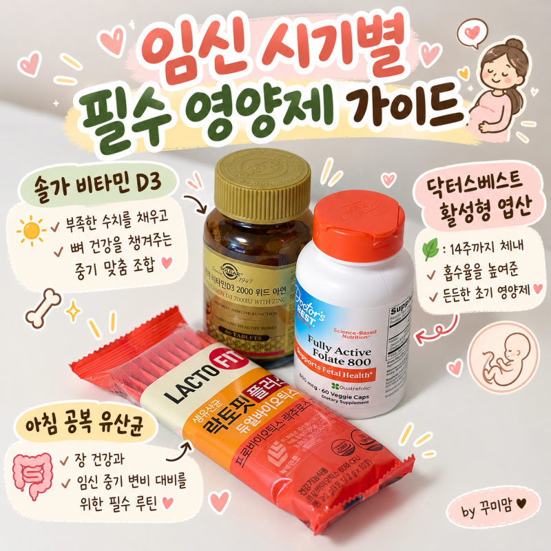 닥터스 베스트 활성형 엽산, 솔가 비타민Dㅣ임신 시기별 필수 영양제 가이드