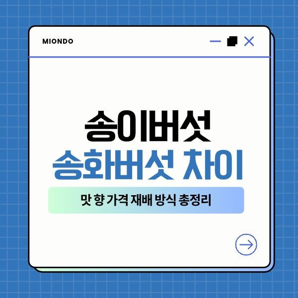 송이버섯 송화버섯 차이 맛 향 가격 재배 방식 총정리