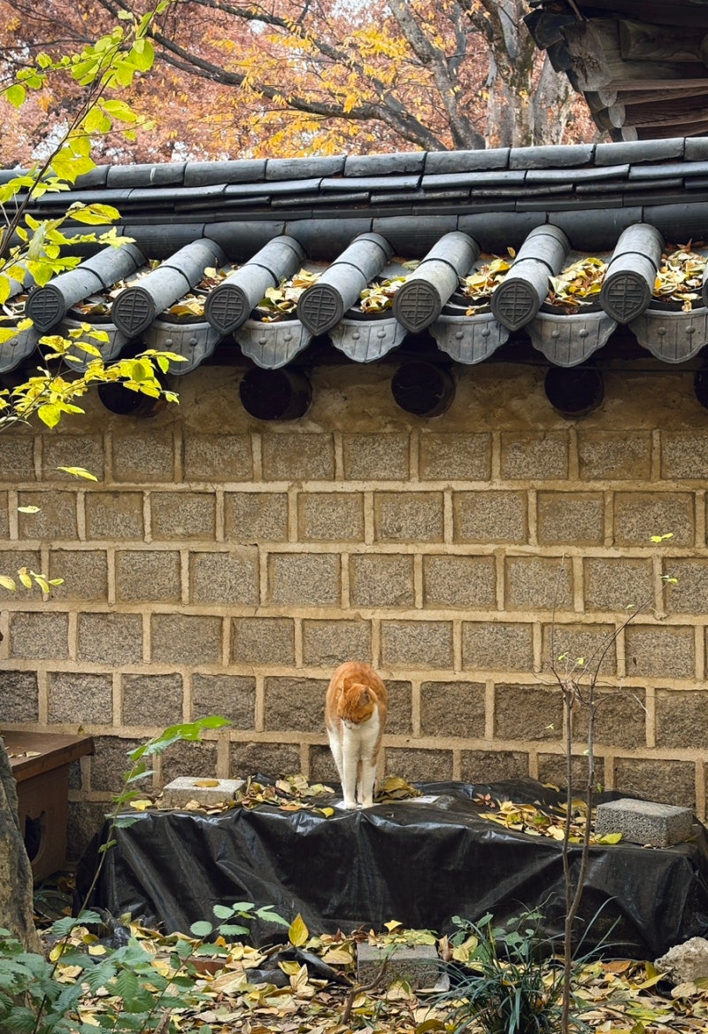 전주 1박 2일, 제대로 즐기기