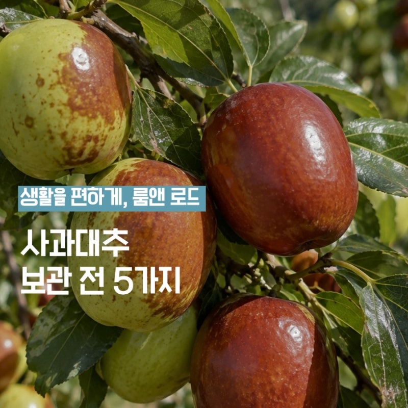 사과대추 수확시기 언제? 냉장·냉동보관 전에 볼 5가지