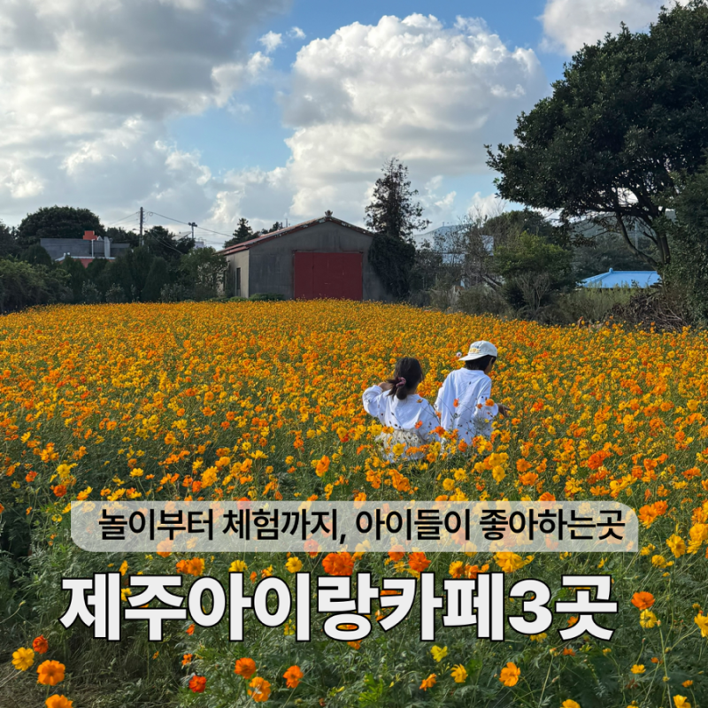 10월 제주 아이와 가볼만한 카페 3곳 놀이부터 체험까지 아이들이 더 좋아하는 곳