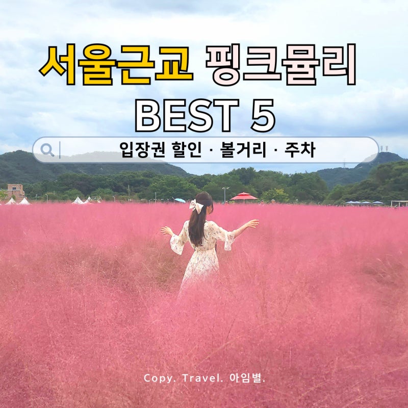 서울근교 핑크뮬리 명소 best5 미사경정공원·양주 나리공원 가을 당일치기 여행