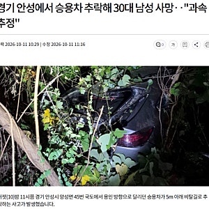 경기 안성에서 승용차 추락해 30대 남성 사망.. "과속 추정"