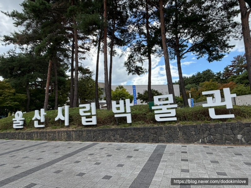 【울산박물관 어린이박물관】 울산 아이랑 갈만한 곳 추천! (feat.상설전시관 관람까지)