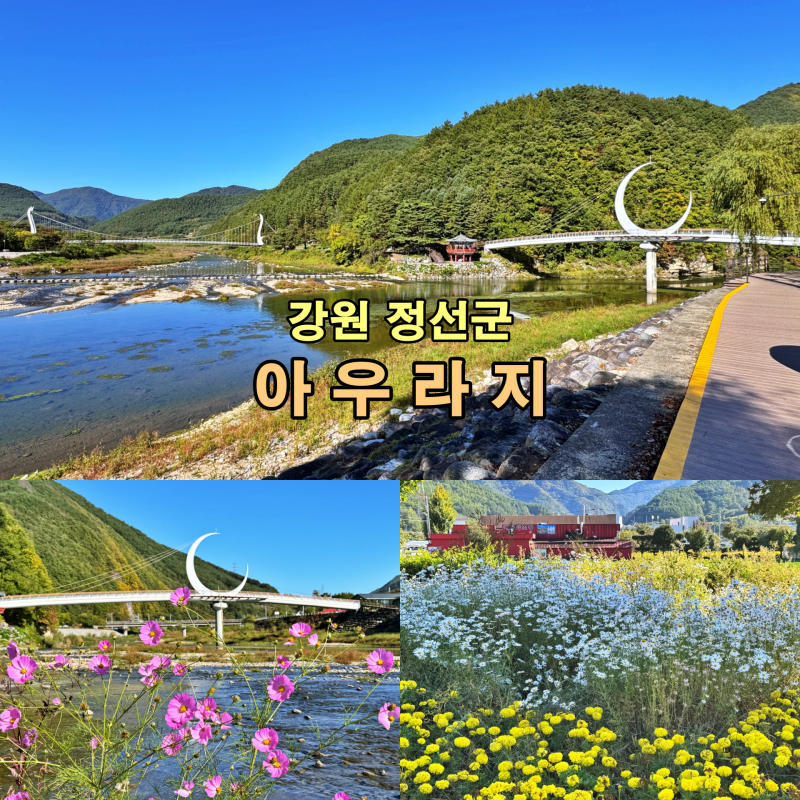 [정선] ️ 수려한 자연경관을 자랑하는 정선의 대표 관광지 '아우라지'