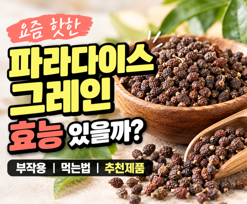 파라다이스 그레인 효능 진짜 있을까? 부작용 먹는법 추천제품까지