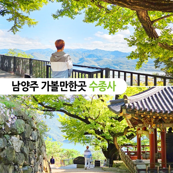 경기도 은행나무 사찰 남양주 가볼만한곳 수종사 절 운길산 단풍 드라이브 코스