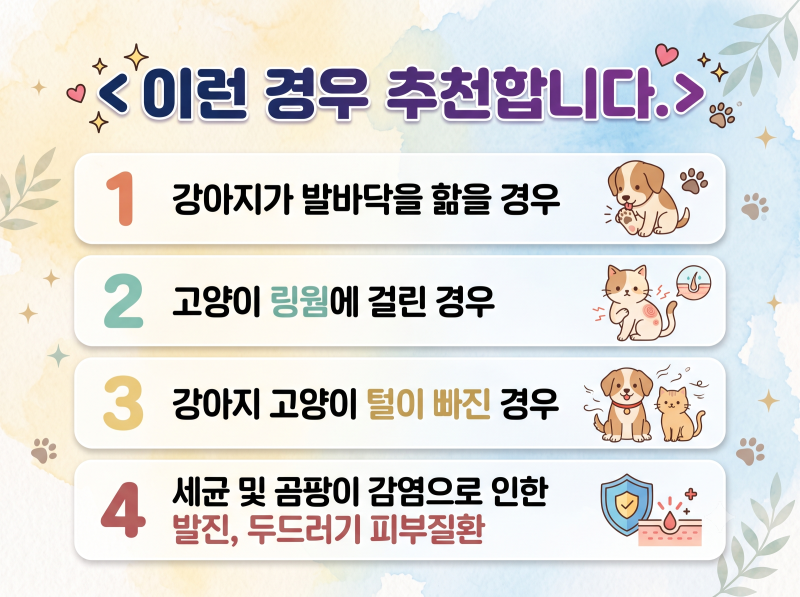 터비덤 스프레이 큐어, Terbiderm Spray Cure, 테르피나빈, 클로르헥시딘, 지간염, 꼬순내 (동물약 ....