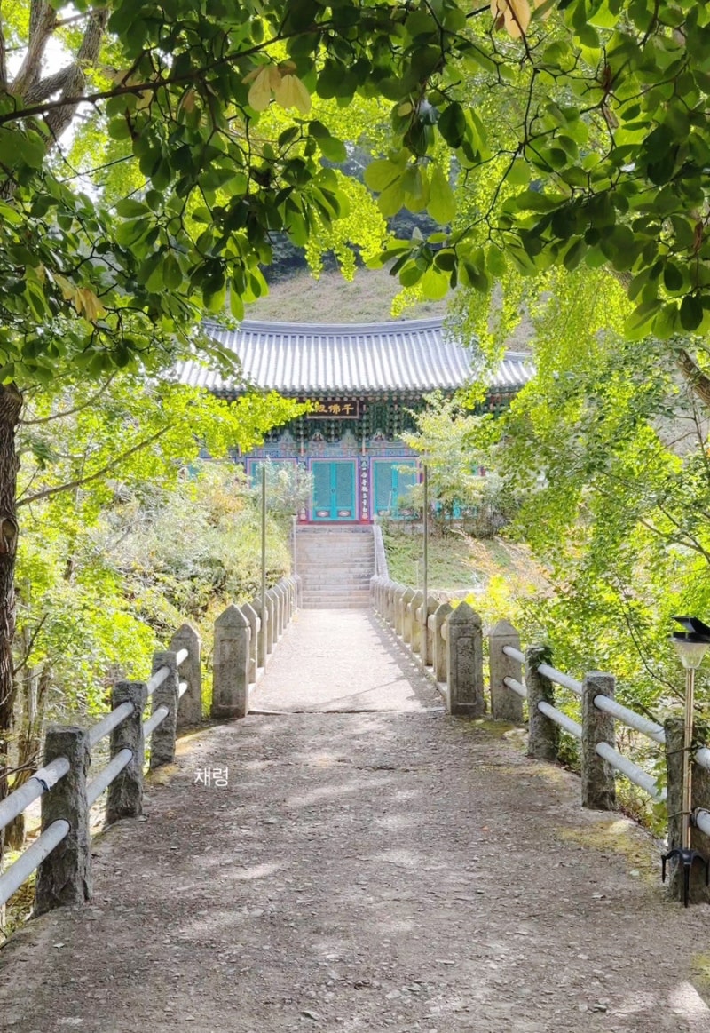 서울근교 천안 가볼만한곳 추천 각원사·흥타령축제