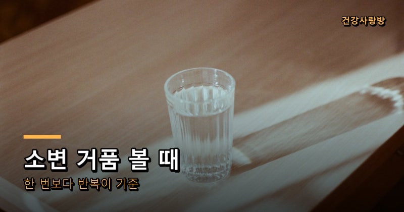 소변 거품이 계속될 때 검진 요단백 결과 보셨나요?