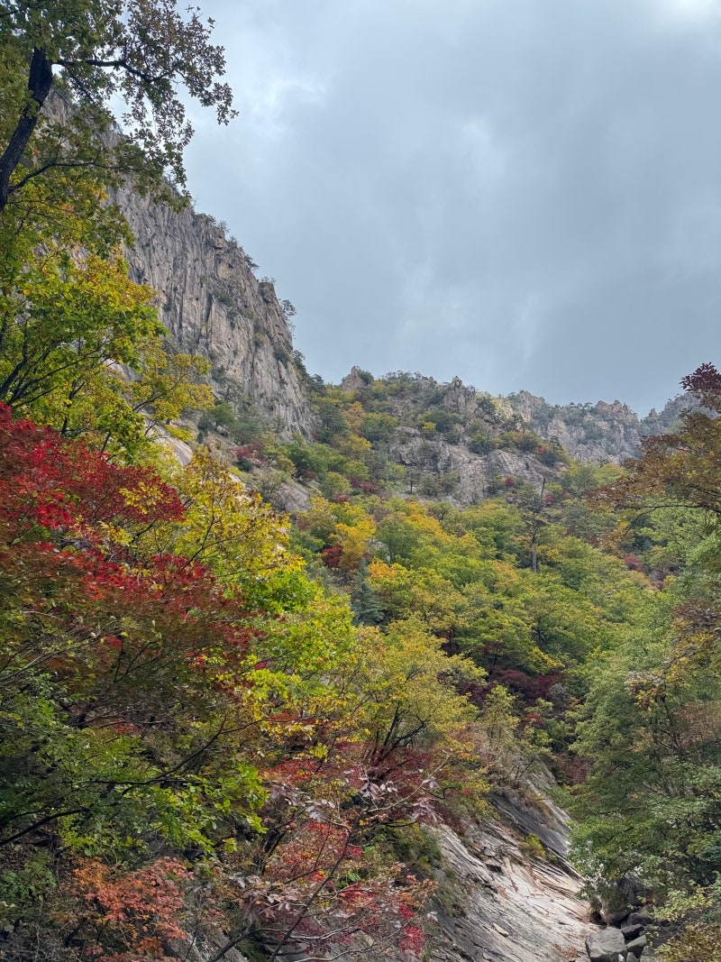 설악산 등산코스 추천, 백담사에서 봉정암까지 가는 법 | 가을 여행추천 등산가기 위한 준비....
