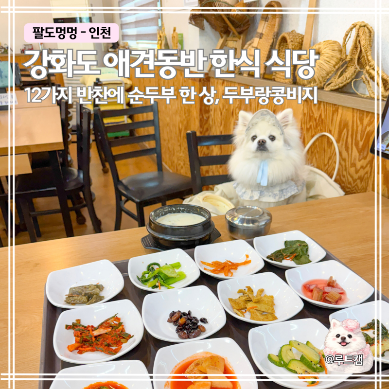 강화도 애견동반 식당 두부랑콩비지 강화점｜맑은 순두부와 청국장 한상