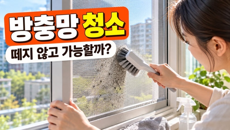 방충망 청소, 떼지 않고도 깨끗하게 할 수 있을까?