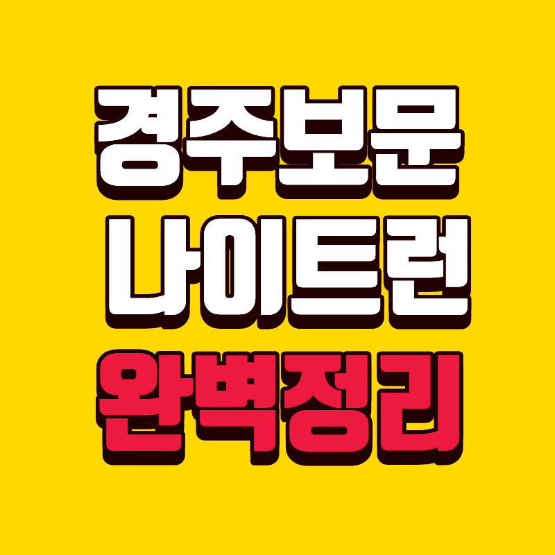경주 보문 나이트런 윌리 마라톤 코스부터 주차 꿀팁까지 핵심 가이드