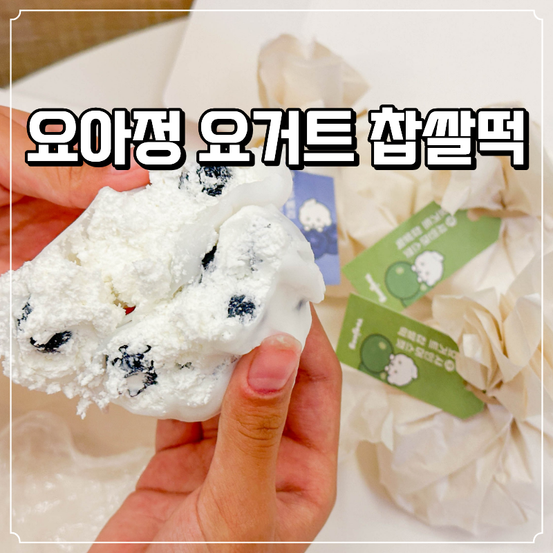 요아정 요거트 찹쌀떡 가격 및 후 한정선 모찌 대신 먹어보기