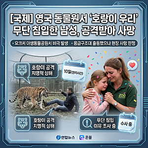 [국제/사건] 영국 야생동물공원서 호랑이 우리 무단 침입 남성 사망…충격적인 현장 전말과 ....