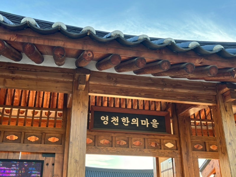 대구근교 가볼만한곳 영천한의마을 | 사상체질, 족욕 이색 데이트 추천